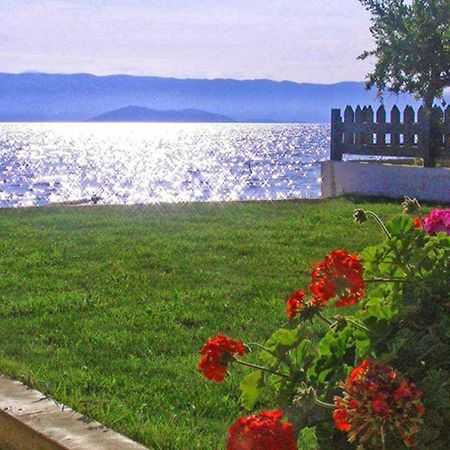Finata Studios (Adults Only) Kavos Ngoại thất bức ảnh